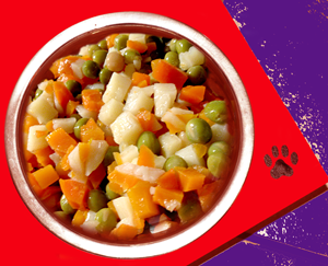 Dog bowl with veggies